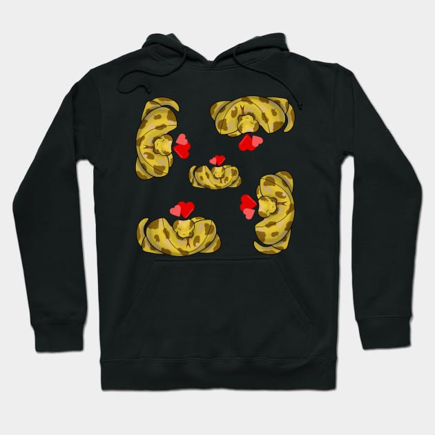 Banana Python Love Hearts Hoodie by DesignsBySaxton